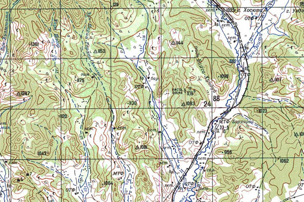 Уменьшенный фрагмент представленной топографической карты N-49-33 - Trasa.ru