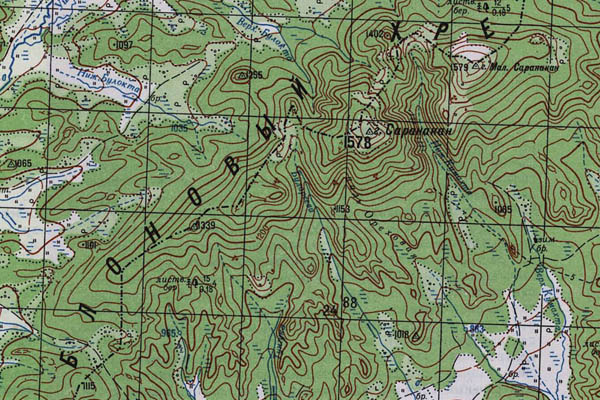Уменьшенный фрагмент представленной топографической карты N-49-36 - Trasa.ru