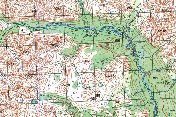 Уменьшенный фрагмент представленной топографической карты N-50-01 - Trasa.ru