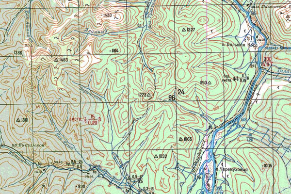 Уменьшенный фрагмент представленной топографической карты N-50-02 - Trasa.ru