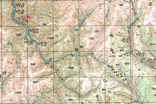 Уменьшенный фрагмент представленной топографической карты N-50-03 - Trasa.ru