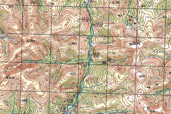 Уменьшенный фрагмент представленной топографической карты N-50-05 - Trasa.ru