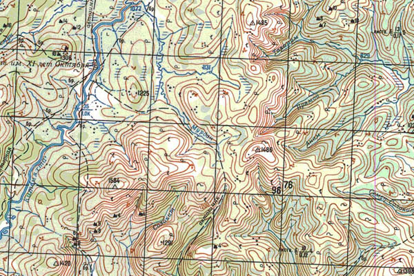 Уменьшенный фрагмент представленной топографической карты N-50-06 - Trasa.ru