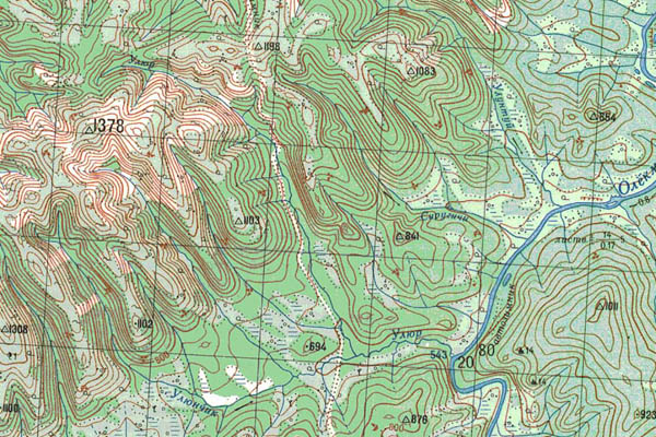 Уменьшенный фрагмент представленной топографической карты N-50-12 - Trasa.ru