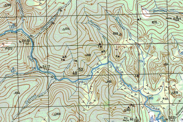 Уменьшенный фрагмент представленной топографической карты N-50-13 - Trasa.ru