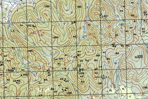 Уменьшенный фрагмент представленной топографической карты N-50-14 - Trasa.ru