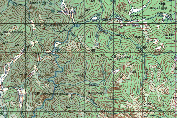 Уменьшенный фрагмент представленной топографической карты N-50-16 - Trasa.ru