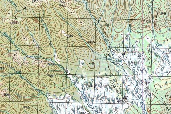 Уменьшенный фрагмент представленной топографической карты N-50-18 - Trasa.ru