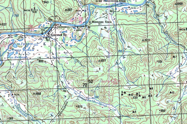 Уменьшенный фрагмент представленной топографической карты N-50-19 - Trasa.ru