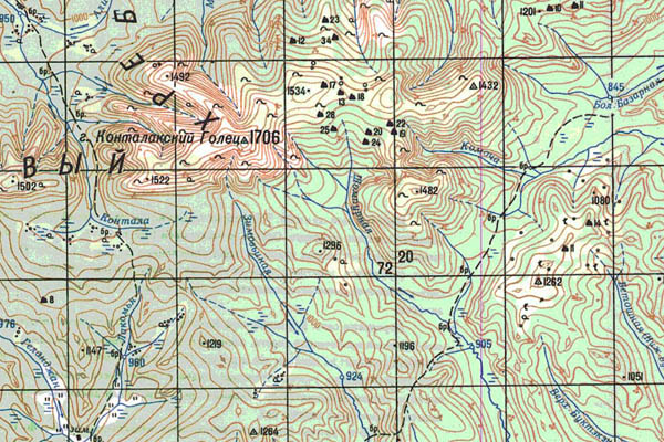 Уменьшенный фрагмент представленной топографической карты N-50-20 - Trasa.ru