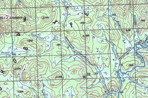 Уменьшенный фрагмент представленной топографической карты N-50-25 - Trasa.ru
