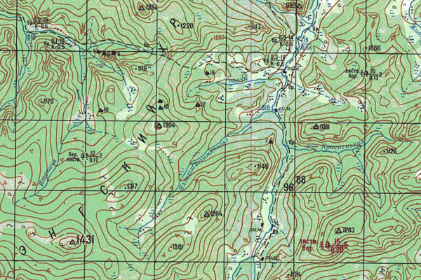 Уменьшенный фрагмент представленной топографической карты N-50-27 - Trasa.ru