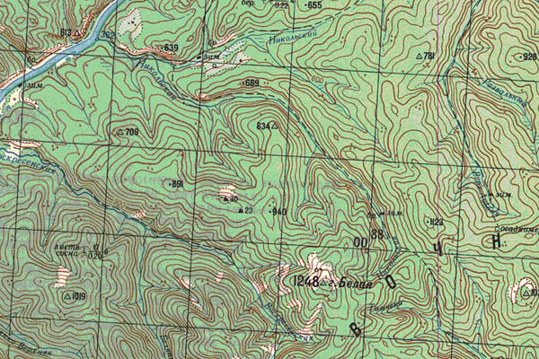 Уменьшенный фрагмент представленной топографической карты N-50-30 - Trasa.ru