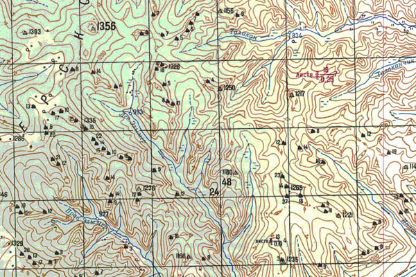 Уменьшенный фрагмент представленной топографической карты N-50-31 - Trasa.ru