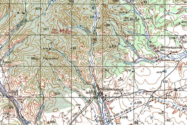 Уменьшенный фрагмент представленной топографической карты N-50-33 - Trasa.ru