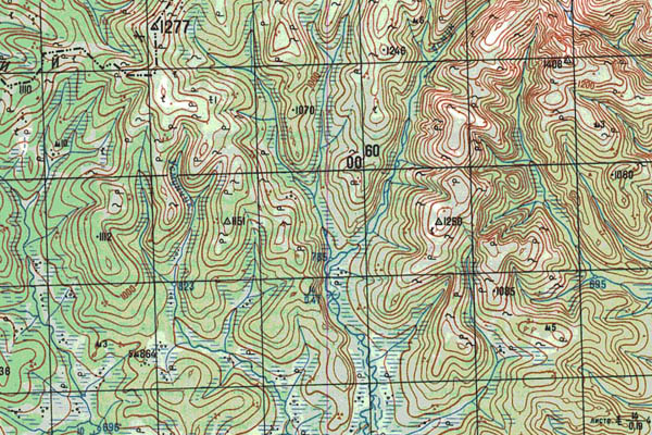Уменьшенный фрагмент представленной топографической карты N-51-01 - Trasa.ru