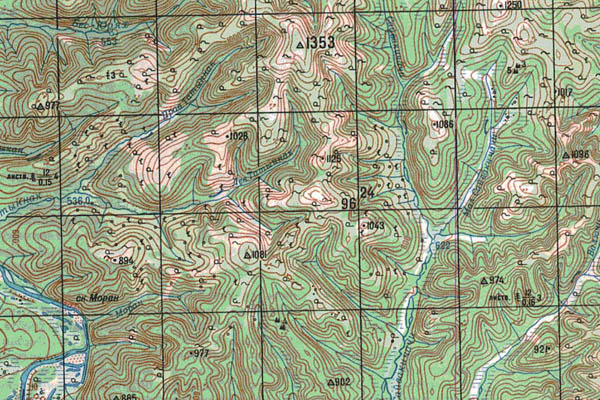 Уменьшенный фрагмент представленной топографической карты N-51-02 - Trasa.ru