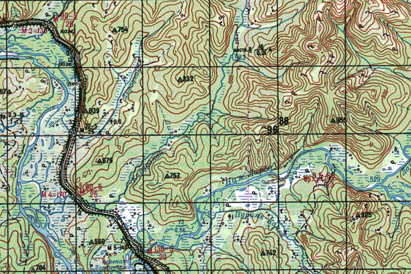 Уменьшенный фрагмент представленной топографической карты N-51-03 - Trasa.ru