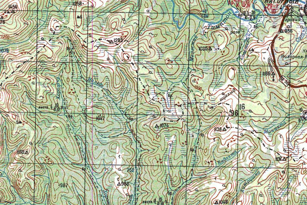Уменьшенный фрагмент представленной топографической карты N-51-05 - Trasa.ru