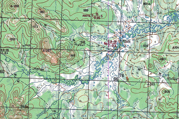 Уменьшенный фрагмент представленной топографической карты N-51-06 - Trasa.ru