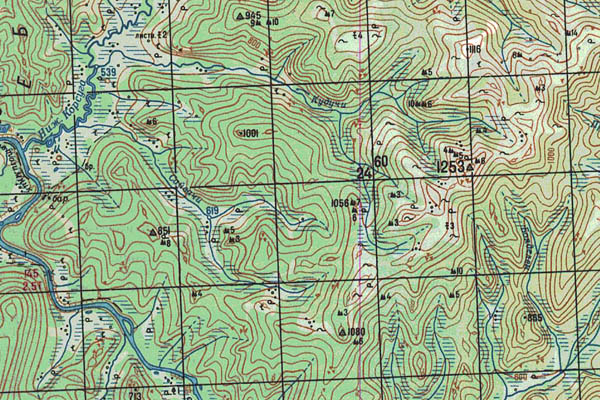 Уменьшенный фрагмент представленной топографической карты N-51-07 - Trasa.ru