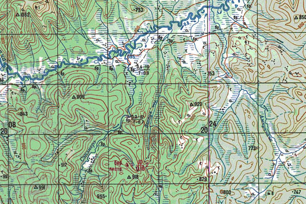 Уменьшенный фрагмент представленной топографической карты N-51-08 - Trasa.ru