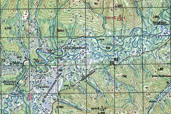 Уменьшенный фрагмент представленной топографической карты N-51-09 - Trasa.ru