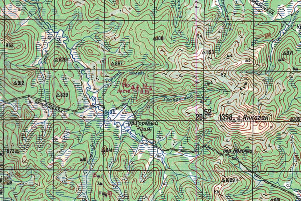 Уменьшенный фрагмент представленной топографической карты N-51-10 - Trasa.ru