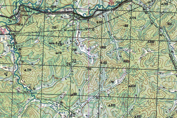 Уменьшенный фрагмент представленной топографической карты N-51-12 - Trasa.ru