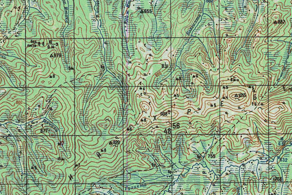 Уменьшенный фрагмент представленной топографической карты N-51-13 - Trasa.ru