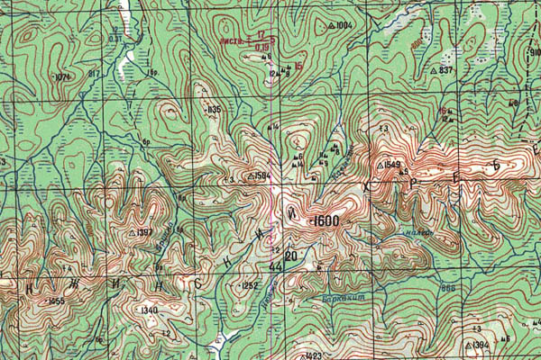 Уменьшенный фрагмент представленной топографической карты N-51-14 - Trasa.ru