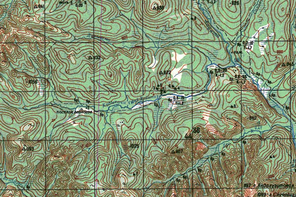 Уменьшенный фрагмент представленной топографической карты N-51-15 - Trasa.ru