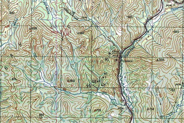 Уменьшенный фрагмент представленной топографической карты N-51-16 - Trasa.ru