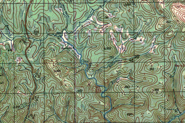 Уменьшенный фрагмент представленной топографической карты N-51-17 - Trasa.ru