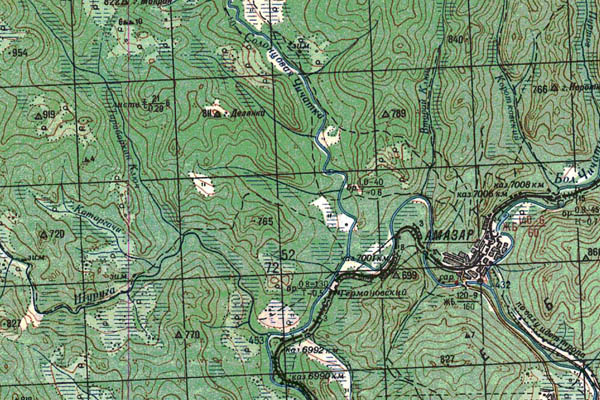 Уменьшенный фрагмент представленной топографической карты N-51-19 - Trasa.ru