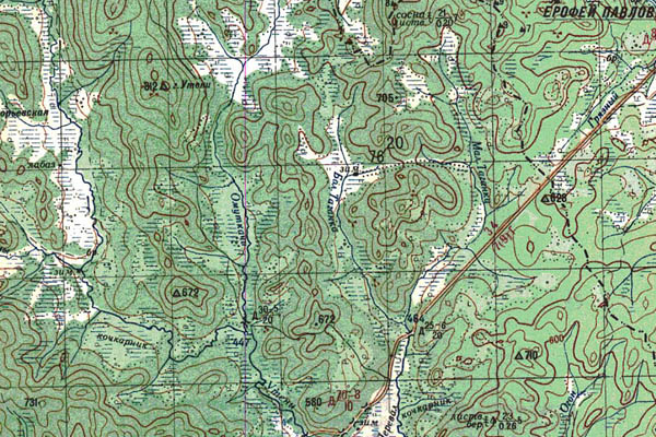 Уменьшенный фрагмент представленной топографической карты N-51-20 - Trasa.ru