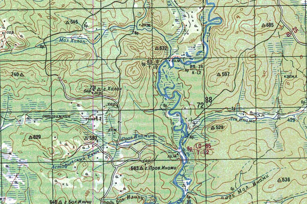 Уменьшенный фрагмент представленной топографической карты N-51-21 - Trasa.ru