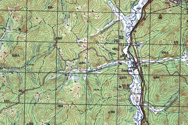 Уменьшенный фрагмент представленной топографической карты N-51-22 - Trasa.ru