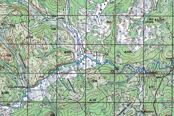 Уменьшенный фрагмент представленной топографической карты N-51-23 - Trasa.ru