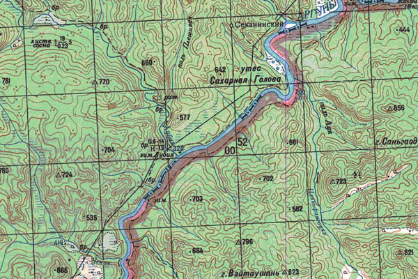 Уменьшенный фрагмент представленной топографической карты N-51-25 - Trasa.ru