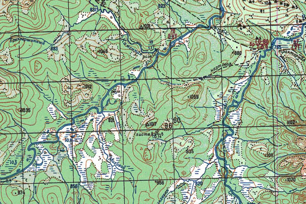 Уменьшенный фрагмент представленной топографической карты N-52-01 - Trasa.ru