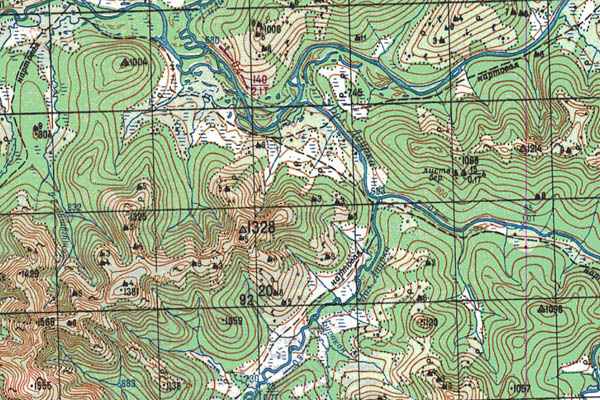 Уменьшенный фрагмент представленной топографической карты N-52-02 - Trasa.ru