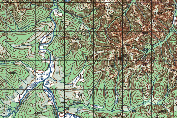 Уменьшенный фрагмент представленной топографической карты N-52-03 - Trasa.ru