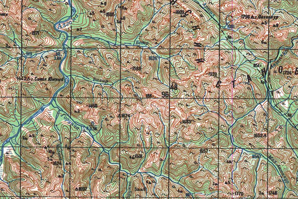 Уменьшенный фрагмент представленной топографической карты N-52-04 - Trasa.ru