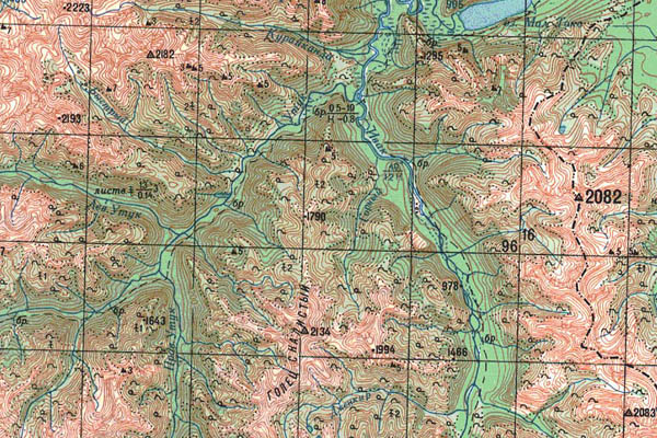 Уменьшенный фрагмент представленной топографической карты N-52-05 - Trasa.ru