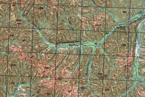 Уменьшенный фрагмент представленной топографической карты N-52-12 - Trasa.ru