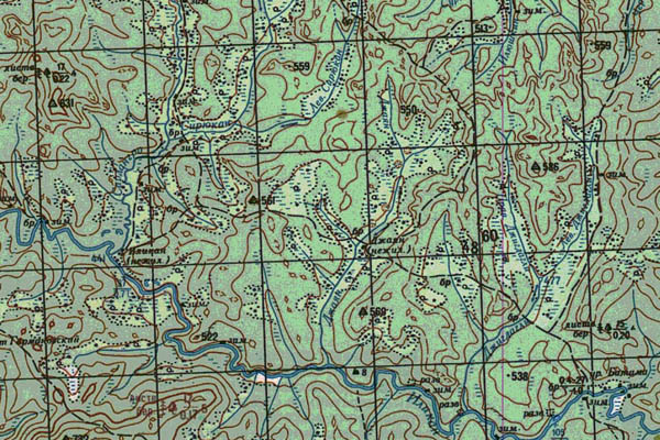 Уменьшенный фрагмент представленной топографической карты N-52-13 - Trasa.ru