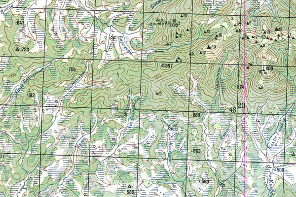 Уменьшенный фрагмент представленной топографической карты N-52-17 - Trasa.ru