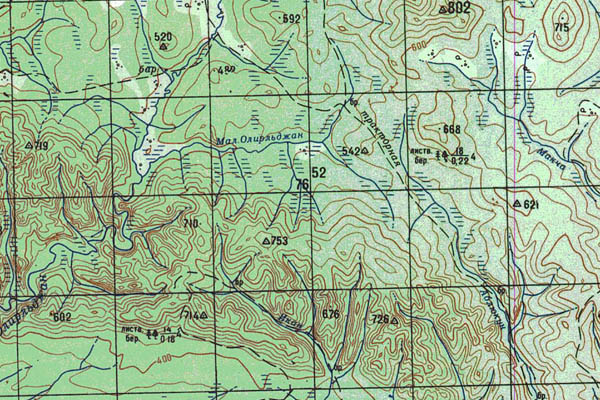 Уменьшенный фрагмент представленной топографической карты N-52-19 - Trasa.ru