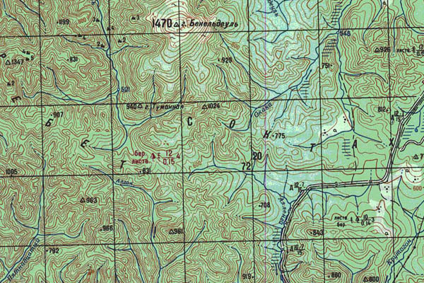 Уменьшенный фрагмент представленной топографической карты N-52-20 - Trasa.ru